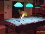 28.02.2017 - Billard