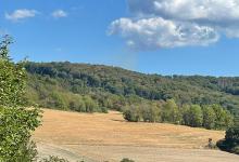IMG-20220906-WA0006