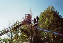 Bild5