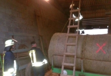 Bild4