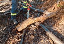 IMG-20210614-WA0016