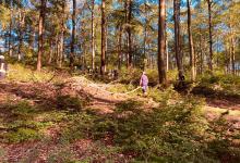 IMG-20210614-WA0021