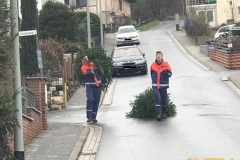 Weihnachtsbaumsammlung 2019