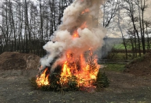 IMG-20190112-WA0039