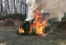 IMG-20190112-WA0040