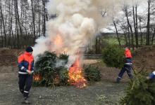 IMG-20190112-WA0042